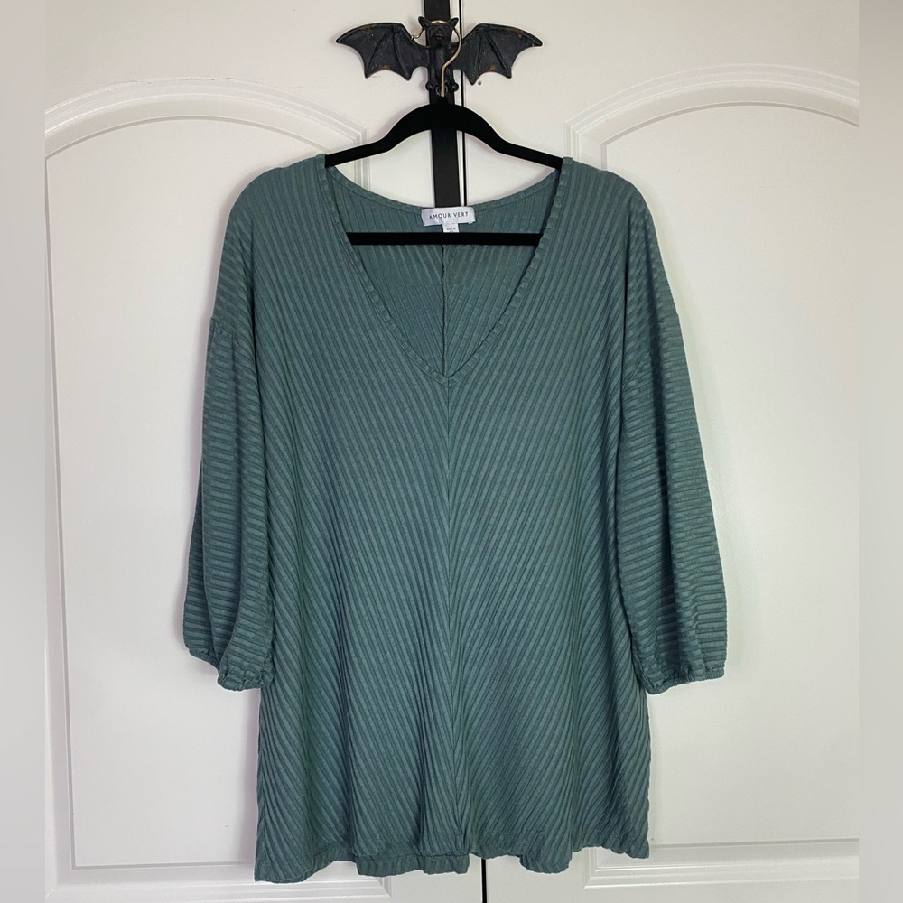 Amour Vert Blue/Sage Green V-Neck Tunic Soft, Stretchy, Textured size 2X